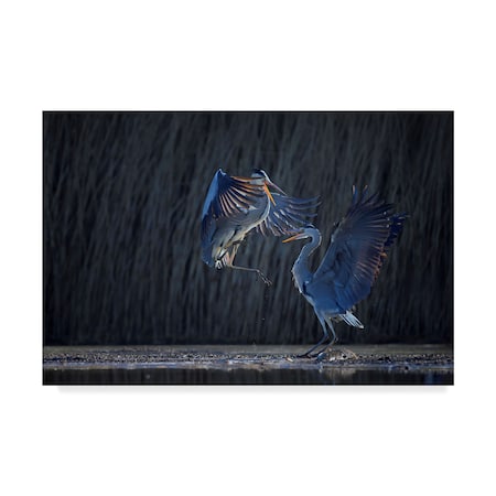 Phillip Chang 'Grey Heron' Canvas Art,30x47